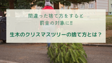 生木のクリスマスツリーは生ごみとして捨てないで 正しい捨て方 罰金も